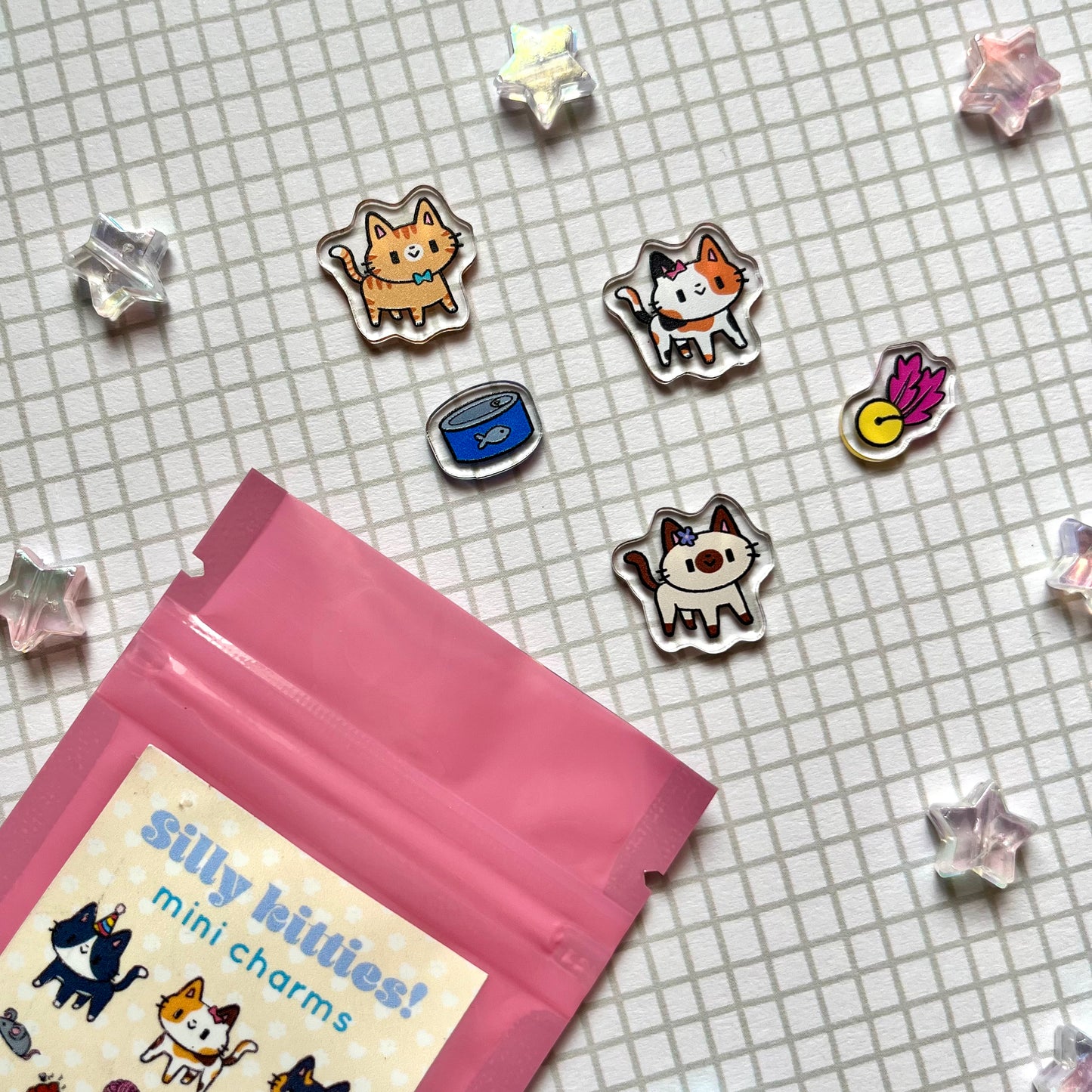 Silly Kitty Mini charms